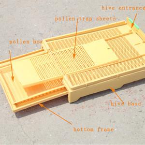 China Multi-function pump draw pull type plastic beehive bottom board/base for sale for sale