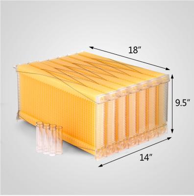 China Newly Design Auto Flow Beehive Frame Kit 7pcs Flow Frames for sale