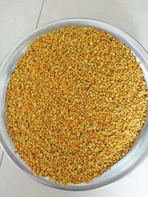 China 2021 Harvest ISO Certified high protein Chinese feeding bees pollen bee bread with best price for sale