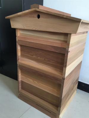 China Western Red Cedar National beehive with flat roof Gable roof deep brood hive stand for sale