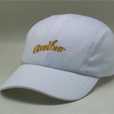 China 100% Polyester Sports Summer Hat, Mesh Polyester Fabric Sports Hat, Custom Logo Hats Hats for sale