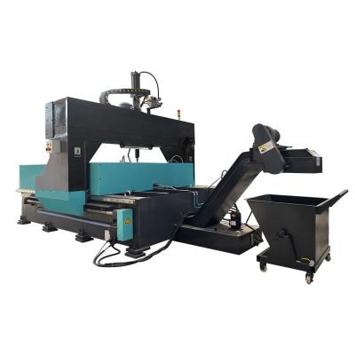 China Full Automatic Hotels Metal Iron Carbon Steel Sheet Plate Gantry Drilling Machine for sale