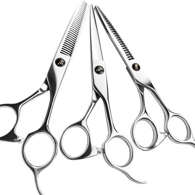 China Professional Thinning Scissors Hair Cutting Thinning Scissors Barber Salon Scissors for sale