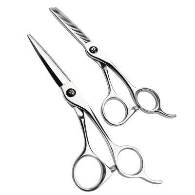 China Professional 6 Inch Thinning Scissors Promotion Low Price Stainless Steel Hair Cutting Scissors for sale