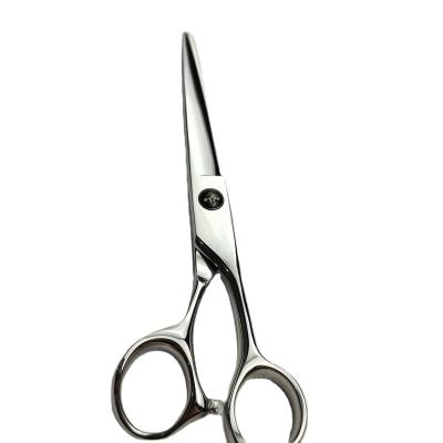 China Japanese Straight Handed Professional Scissors Hair Cutting Professional Scissors Manufacturer Cheap 6.inch F1H60 for sale