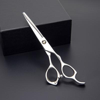 China Professional Japanese Steel 440C Scissors Thinning Scissors 6.0 Inch Barber Hair Cutting Thinning Scissors for sale