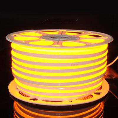 China LANDSCAPE Yellow Gold LED Neon Rope Light RGB Color Changing Neon Lights Available for sale