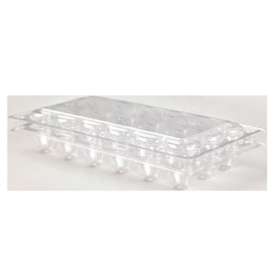 China Cheap 18 Cell Clear Plastic Quail Egg Tray Recyclable for sale