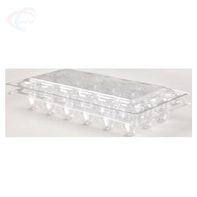 China Wholesale Recyclable High Quality Clear PVC Plastic Packaging Box Blister Clamshell For 20 Holes Quail Eggs for sale