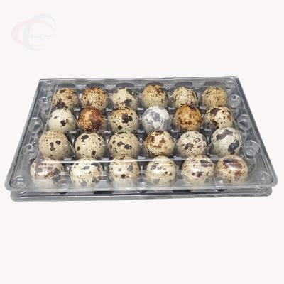 China Factory Price Recyclable Clear Disposable Plastic 24 Cell Quail Egg Trays for sale