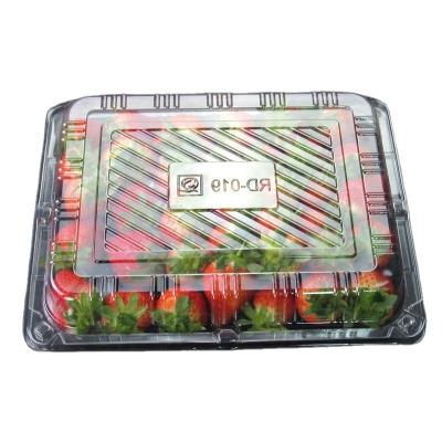 China Recyclable Clear Plastic Fruit Vegetable Cans for sale