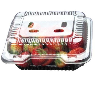 China Strawberry Cheap Price PET Disposable Clamshell Packaging Transparent Square Fruit Plastic Box for sale