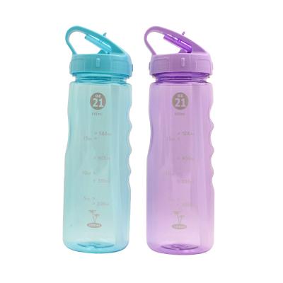 China 630/730ml Drinking Straw Bottle Portable Water Bottle Viable Free Sample Customized for sale