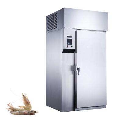 China Single-temperature Air Cooling Shock Freezing Stainless Steel Ice Cream Blast Freezer for sale