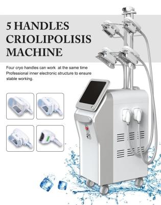 China Vertical 4 Cryo Handles Work At The Same Time Cryolipolysis Device Body Sculpt Slimming for sale