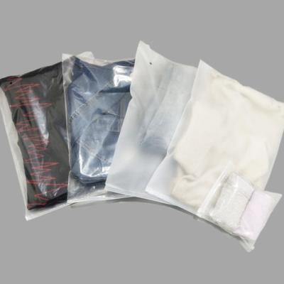 China Custom Logo Biodegradable Frosted Zipper Bags Recyclable Zip Lock Bags For Packaging Clothing for sale