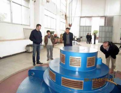 China Vaste Kaplan Hydroturbine/Regelbare Bladen met Generator en Snelheidsgouverneur Te koop