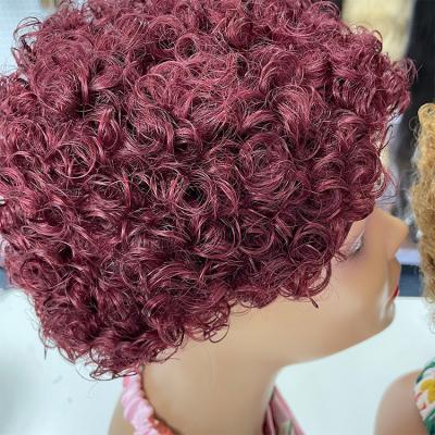 China Jerry Curl Wholesale 100% Human Virgin Hair Pixie Cut Lace Frontal Pixie Cut Bob Wig for sale