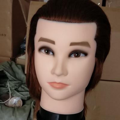 China Cosmetology mannequin heads 100% hot sale wholesale salon hair mannequin training head for sale