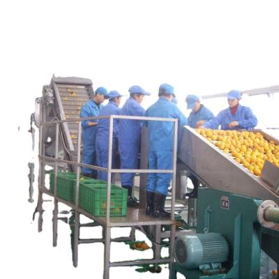 中国 Lemon juice processing line with lemon oil pressing system 販売のため