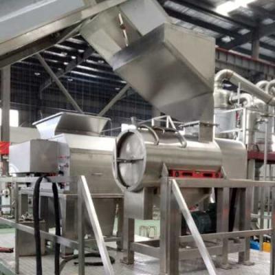 Chine High output 2TPH banana pulp juice puree processing line crusher turbo refiner separator sterilizer full line on sell à vendre