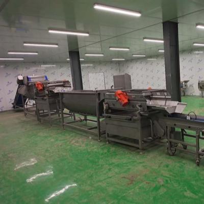 China diced fruit cube processing line packed in plastic bag UHT and HPP sterilizer for option for sale