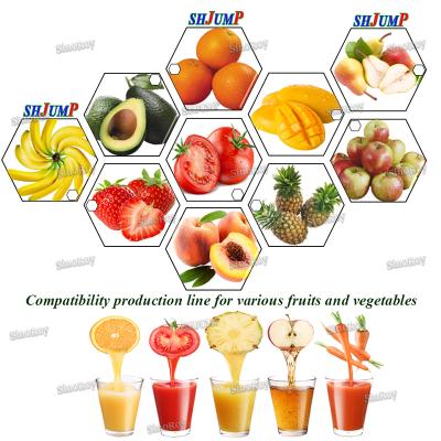 중국 120 tons Mango Juice Production Line/Mango Juice Processing Line/Mango Juice Processing Machine 판매용