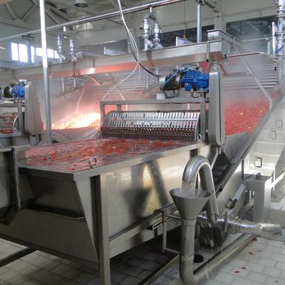 China Processing line for pepper paste making/pepper seeds and peel removing and pulping machine high yield good color products zu verkaufen