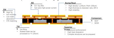 China FOPLP-verpakking (Fan-Out Panel Level Packaging) - productstructuur ((face up)) - draadbundel Te koop