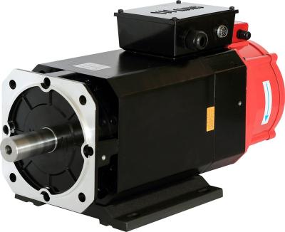 China Totally Enclosed CE OEM 204ZJY 380v AC asynchronous Spindle Servo Motor for CNC Machinery and Lathe for sale