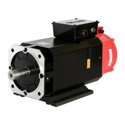 China IP54 Factory 2.2 3.7 5.5 7.5KW 14 24 35 50N.m 6000rpm 204ZJY asynchronous ac spindle servo motor for sale