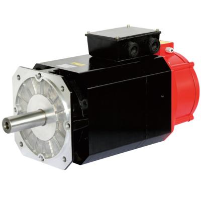 China IP54 380V 9.5KW 60N.m AC asynchronous spindle servo motor for CNC lathe/milling machine for sale