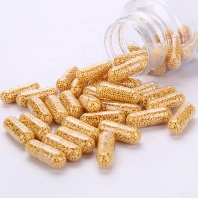 China immune & Anti-Fatigue GMP Certified OEM Vitamin C 500mg & Seabuckthorn Pellet Slow Release Capsules for sale