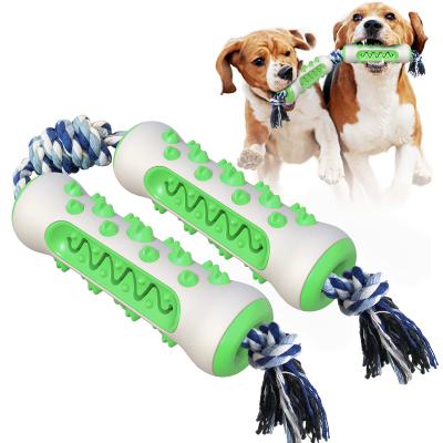 China Good Quality Sustainable Double Bone Dog Toothbrush With Rope Dog Toys for sale