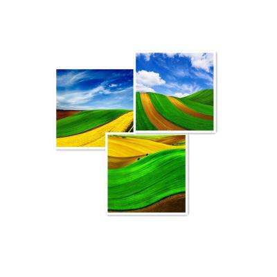 China Modern Home Decoration Corn Field Grassland Blue Sky Landscape Canvas Prints Natural Painting for sale