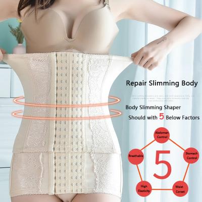 China Viable Postpartum Belly Belt Women Postpartum Pelvic Body Shaping Corset Waist Trainer Postpartum Body Waist Repair Belt for sale