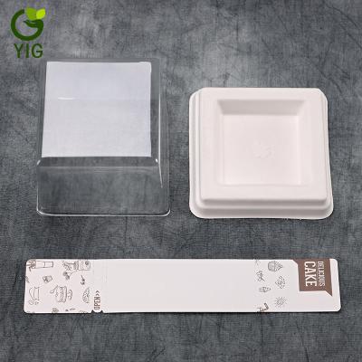 China Eco - Friendly Biodegradable Disposable Square Bagasse Blister Cake Food Tray for sale