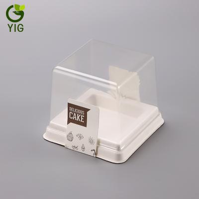 China Food Grade Biodegradable High End Bagasse Square Shape Blister Cake Box for sale