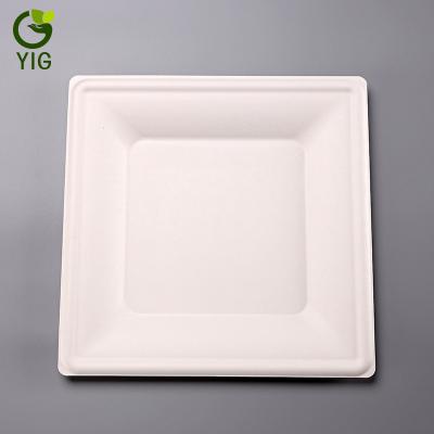 China 10 Inch Disposable Disposable Compostable Biodegradable Sugarcane Paper Pulp Eco-Friendly Tray Maker for sale