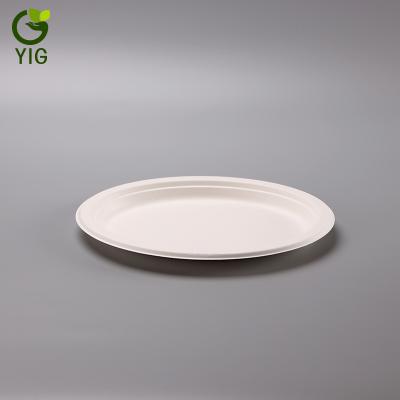 China Disposable Eco-friendly Compostable Biodegradable Sugarcane Tableware Bagasse Paper Pulp Oval Dish for sale