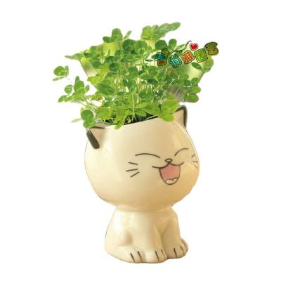 China CLASSIC Cheap Cute Polanters Ceramic Cartoon Animal Cat Succulent Indoor Tiny Pots Planter Porcelain Flower Pots for sale