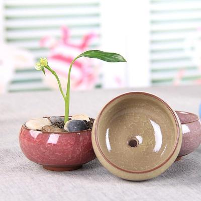 China Easy Creativity Succulent Plants Pots Mini Ice Crack Glaze Ceramics Flowerpot Garden Home Zakka Decor Craft Flower Pot for sale