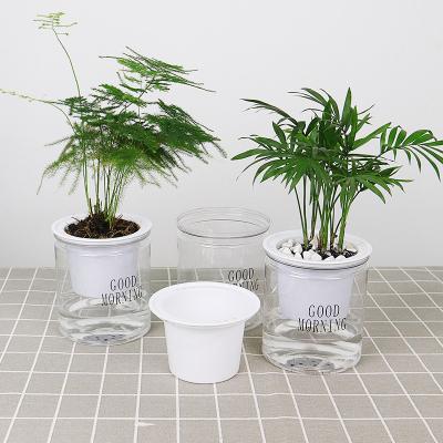 China Eco-Friendly Transparent Plastic Home Hydroponics Hydroponic Plant Flowerpot Desktop Pot Garden Flower Planter for sale