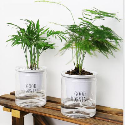 China Eco-Friendly Indoor Office Round Hydroponic Transparent Clear Succulents Bunga Planter Self Watering Plastic Flower Plant Pots In Bulk for sale