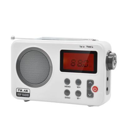 China Sy-8801 Wecker Digital Time Display Alarm Clock Dsp Fm DAB+ PORTABLE Multiband Radio Receiver for sale