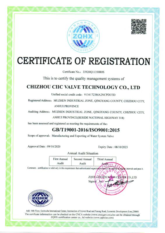 ISO9001 - Chizhou Ciic Valve Technology Co., Ltd.