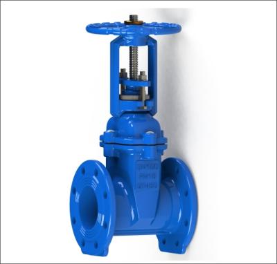 China BS5163 General Rising Stem Seat Resilient Soft Gate Valve for sale