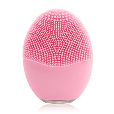 China RUIXINLI Mini Rechargeable Waterproof Electric Facial Pore Remover Massager Cleaning Brush for sale