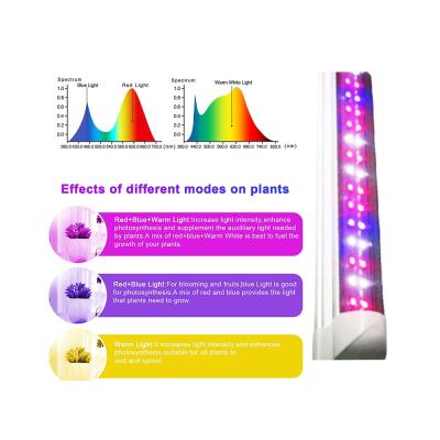 China VEG+BLOOM+COB 10W 5W 8W 13W 26W led grow light spectrum strip led plant light for indoor plants for sale