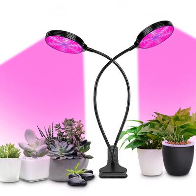 China Led Seed Starting Grow Light Fanless No Noise Horticulture Cultivation Netherlands Plant Light Greenhouse Lights for sale